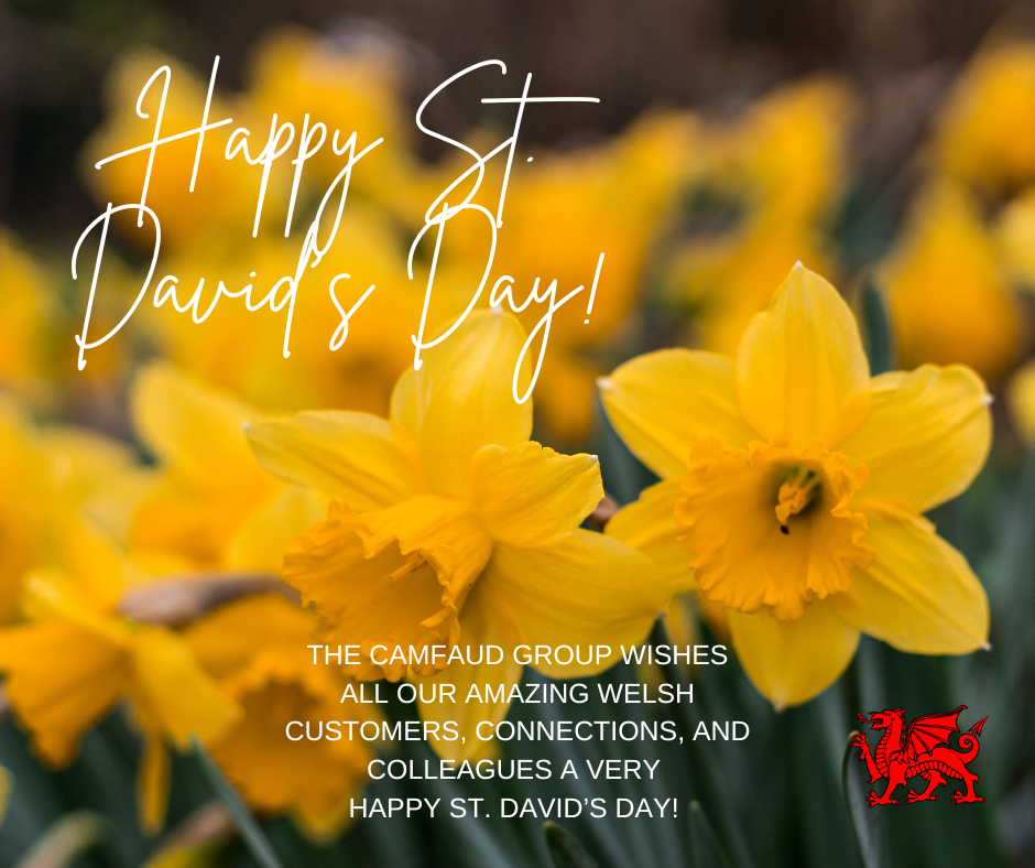 St Davids Day 2025 poster